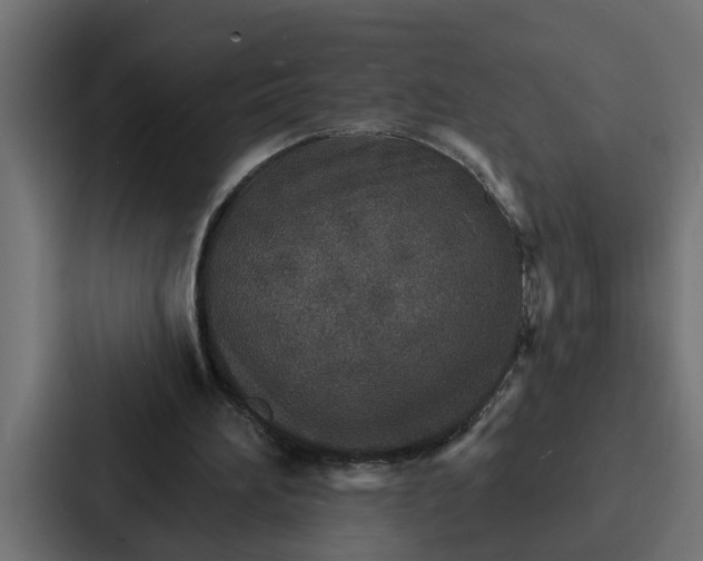 X0000087040196200705160937