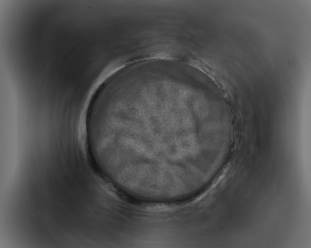 X0000087040198200705160937