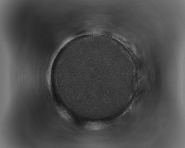 X0000087040200200705160937