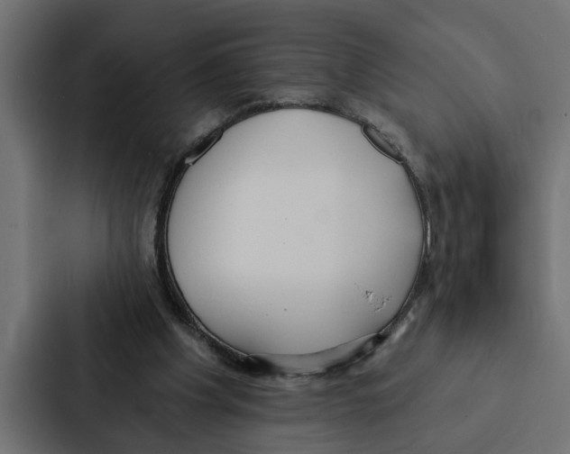 X0000087040201200705160937