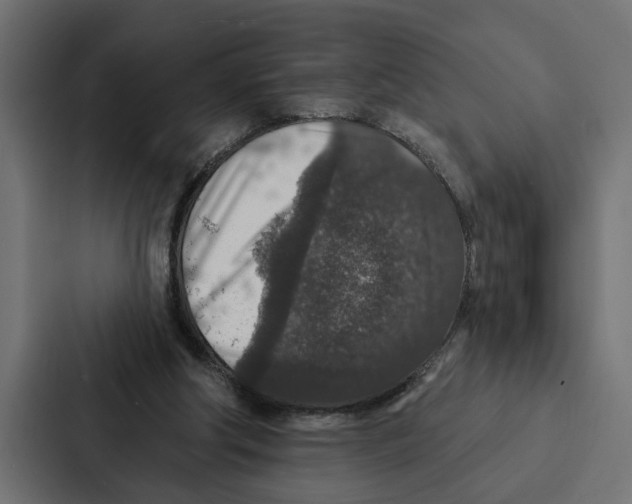 X0000087040202200705160937