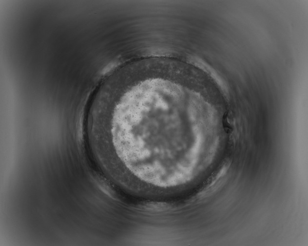 X0000087040203200705160937