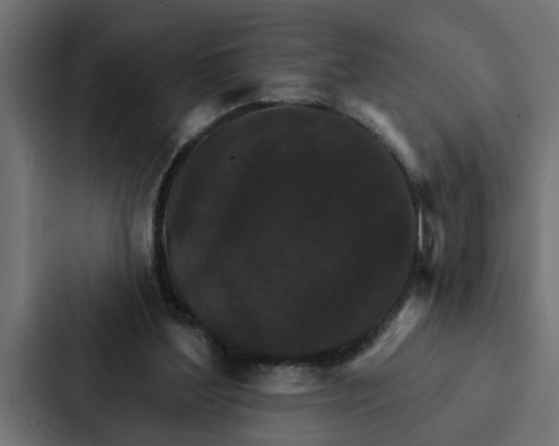 X0000087040204200705160937