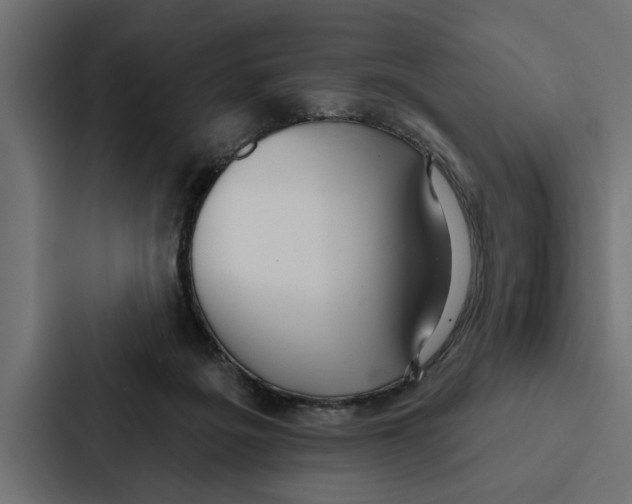 X0000087040217200705160937