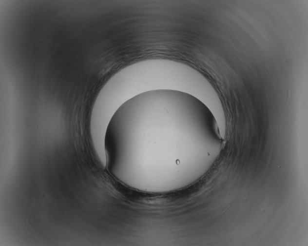 X0000087040219200705160937