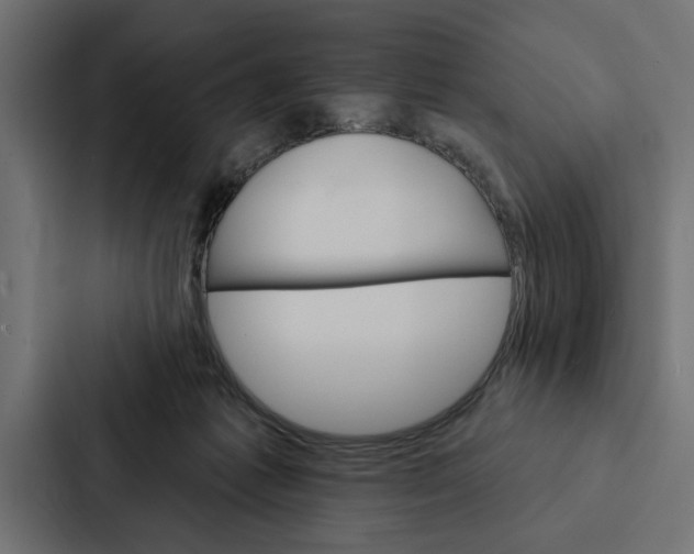 X0000087040221200705160937