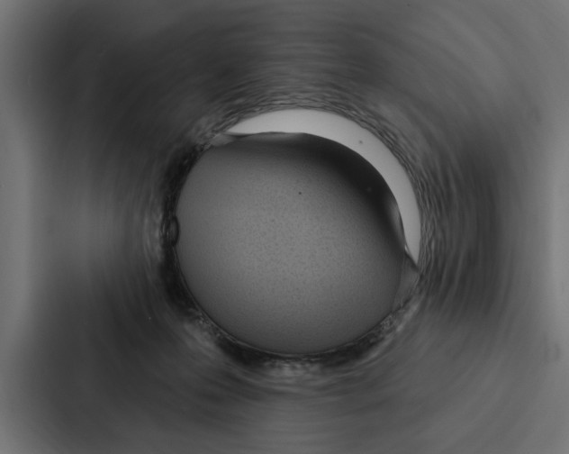 X0000087040223200705160937