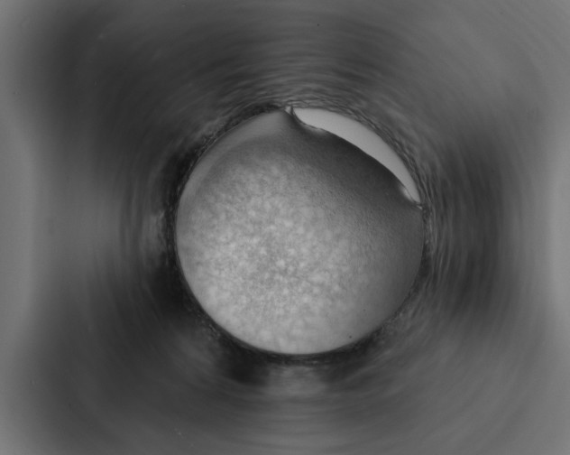 X0000087040224200705160937