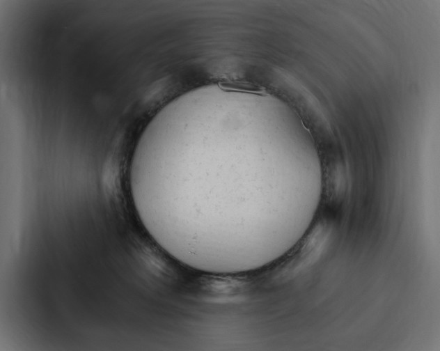 X0000087040229200705160937