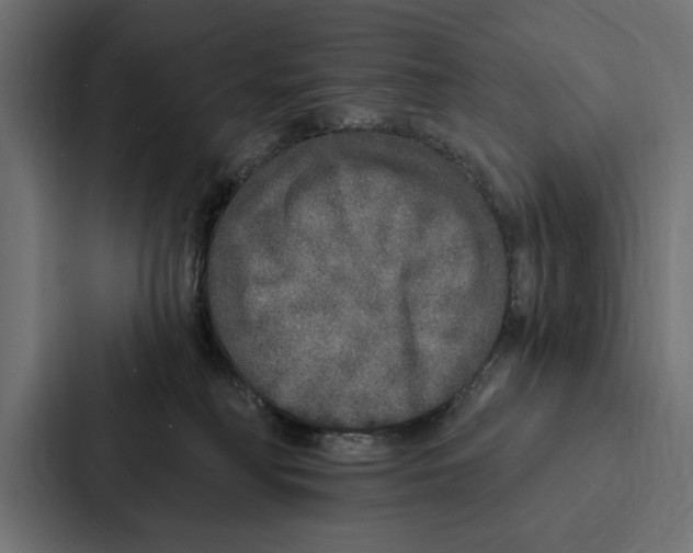 X0000087040230200705160937