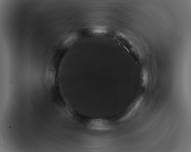 X0000087040231200705160937