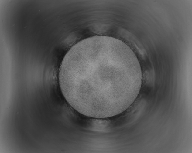 X0000087040234200705160937