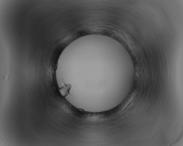 X0000087040235200705160937