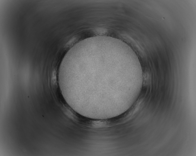 X0000087040238200705160937