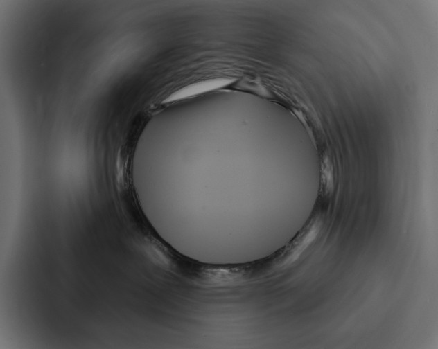 X0000087040239200705160937