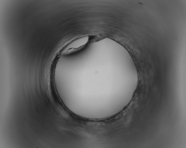 X0000087040242200705160936