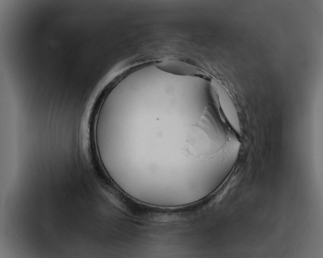 X0000087040246200705160936