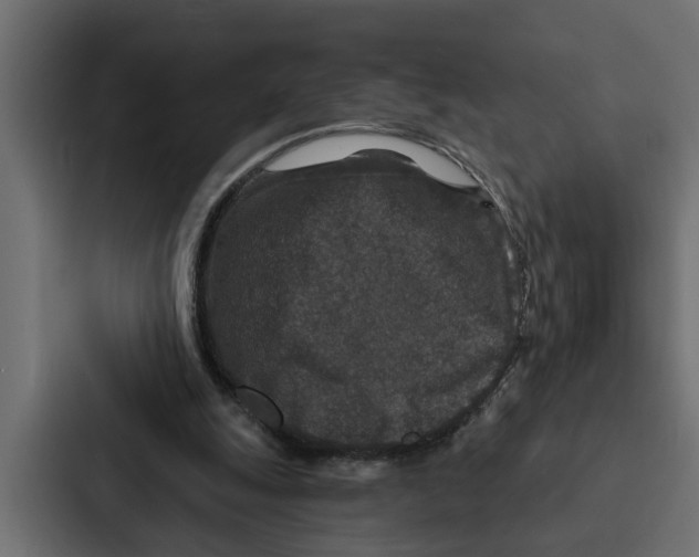 X0000087040247200705160936