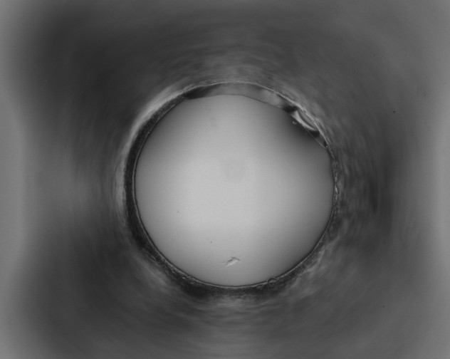 X0000087040248200705160936