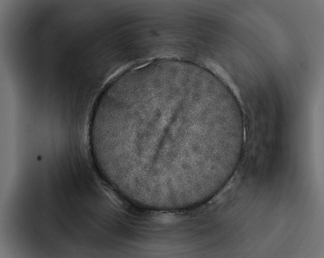 X0000087040249200705160936