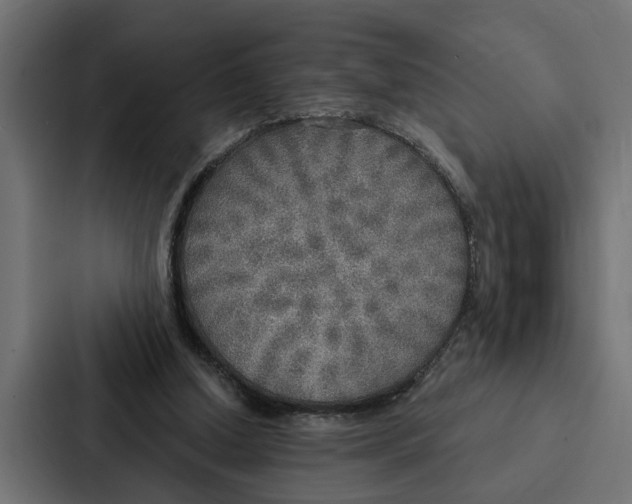 X0000087040250200705160936