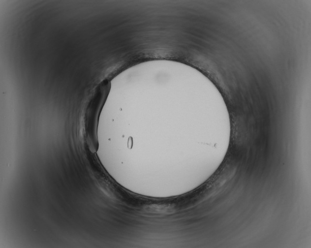 X0000087040251200705160936