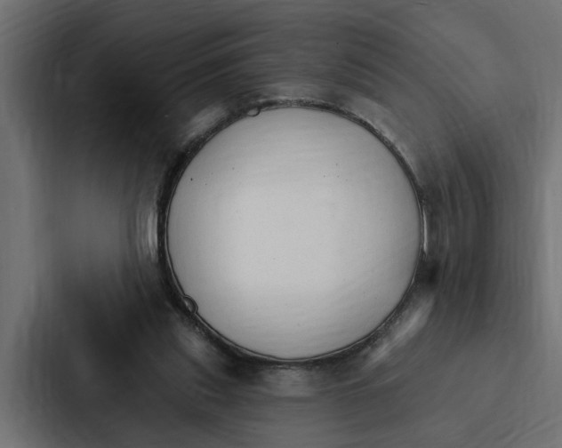 X0000087040253200705160936