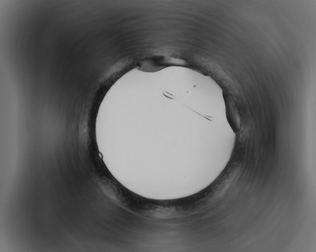 X0000087040256200705160936