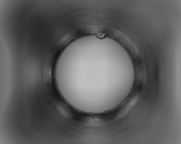 X0000087040262200705160936