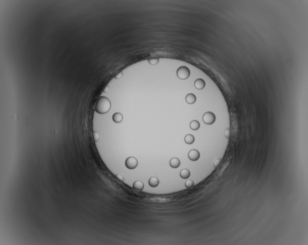 X0000087040265200705160936