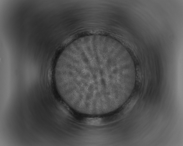 X0000087040266200705160936