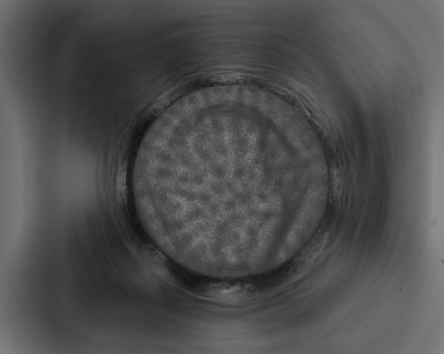 X0000087040267200705160936