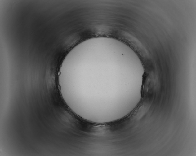 X0000087040269200705160936