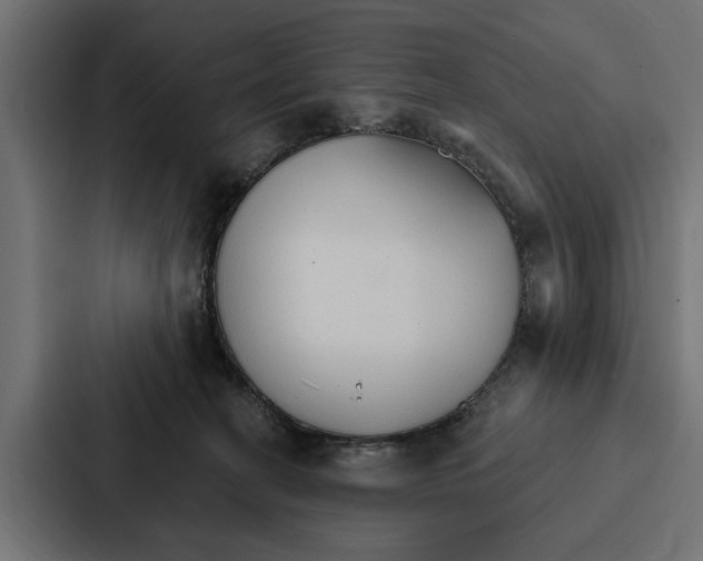 X0000087040274200705160936