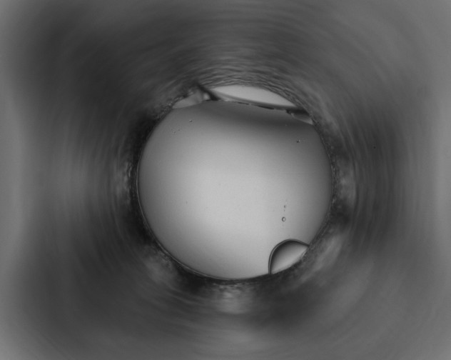 X0000087040275200705160936