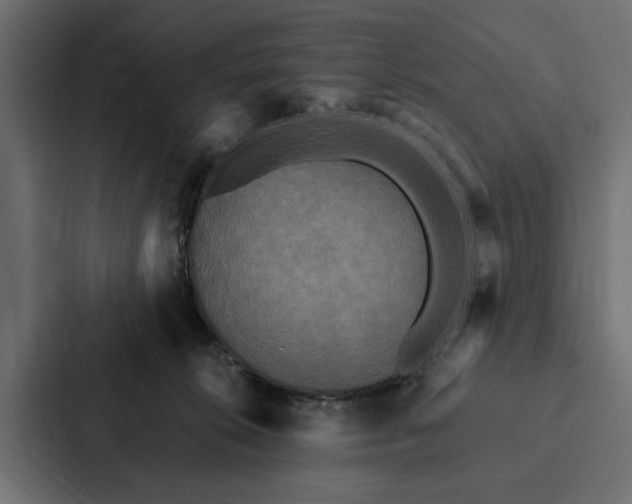 X0000087040276200705160936