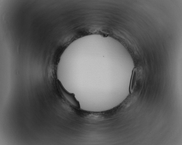 X0000087040280200705160936