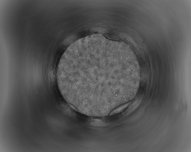 X0000087040285200705160936