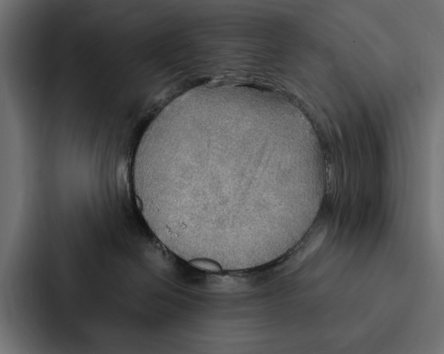 X0000087040286200705160937