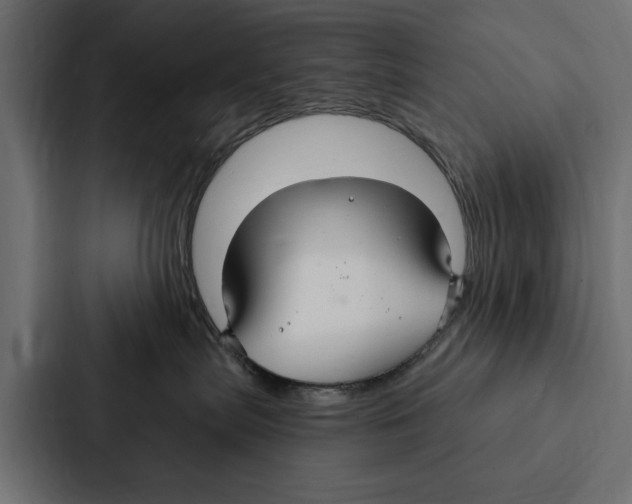 X0000087040287200705160937