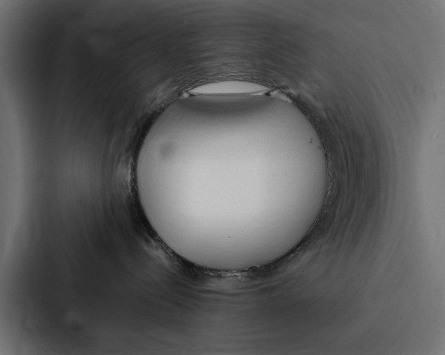 X0000087040288200705160937