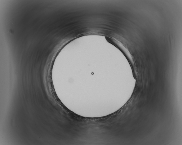 X0000087040289200705160936