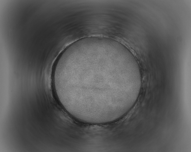 X0000087040290200705160936