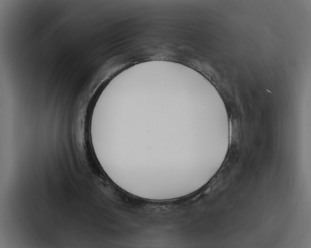 X0000087040291200705160936