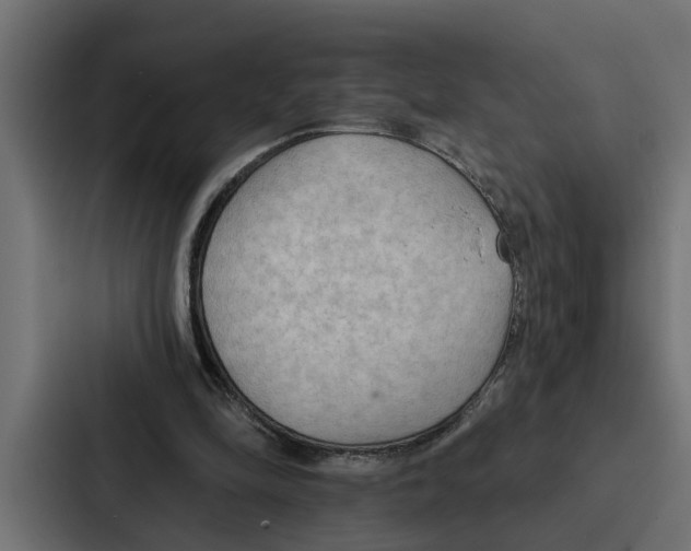 X0000087040294200705160936