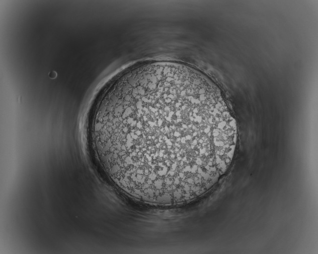 X0000087040295200705160936