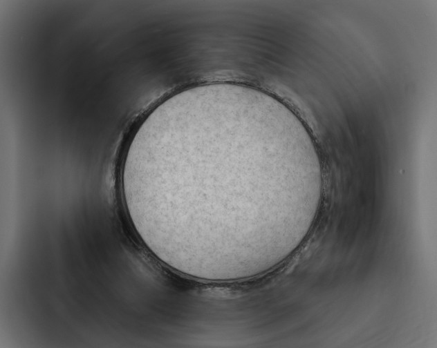 X0000087040298200705160936