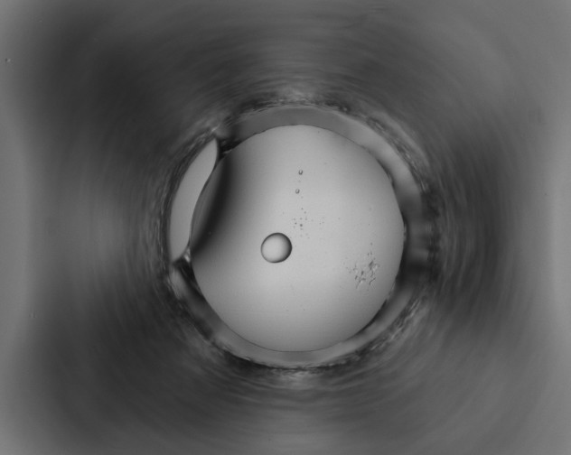 X0000087040313200705160936