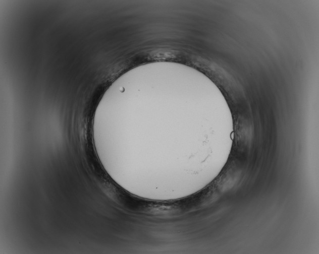 X0000087040315200705160936