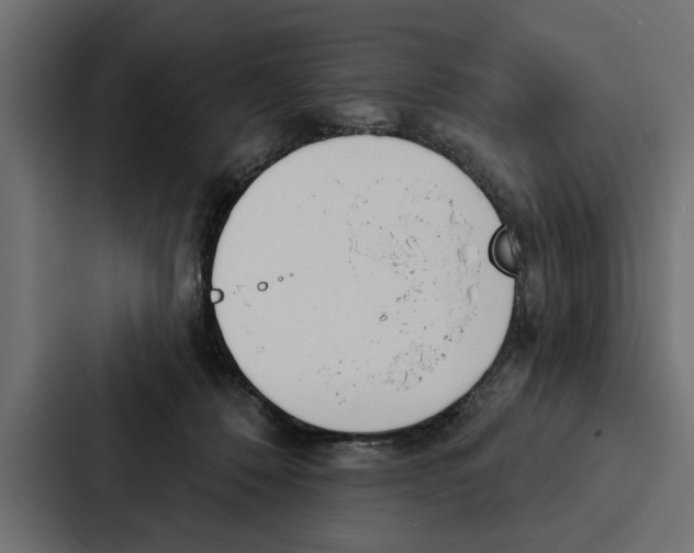 X0000087040320200705160936